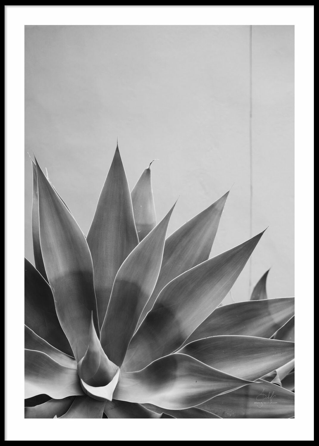 Marbella Plant Poster 50x70