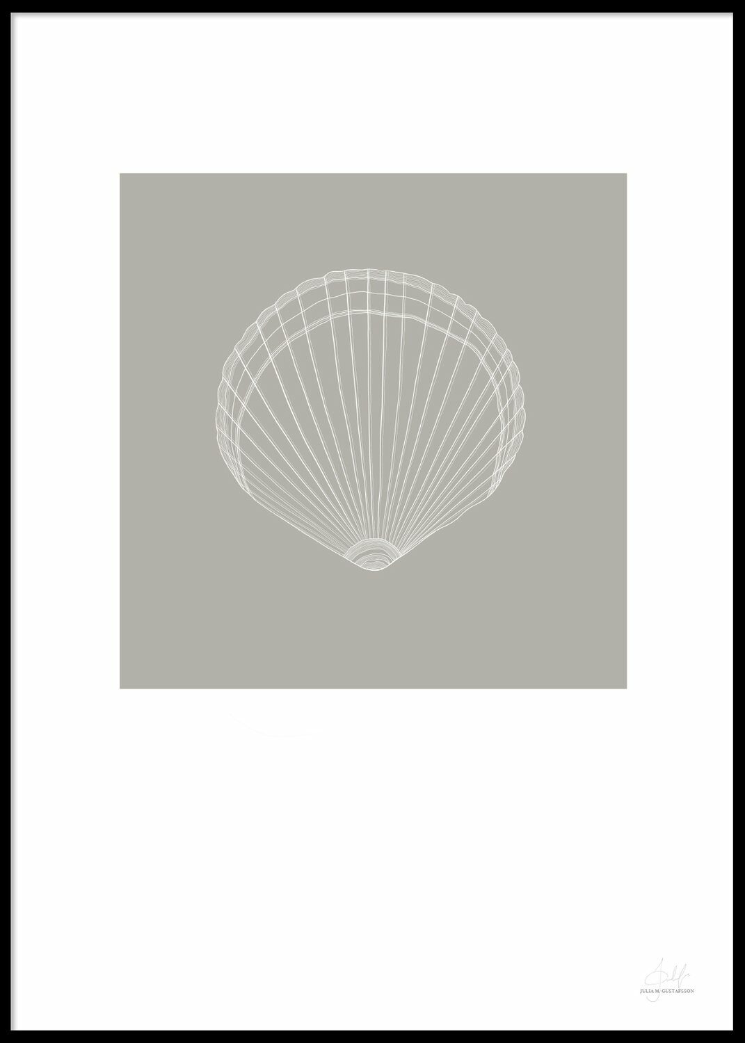 Sea Shell Poster 50x70